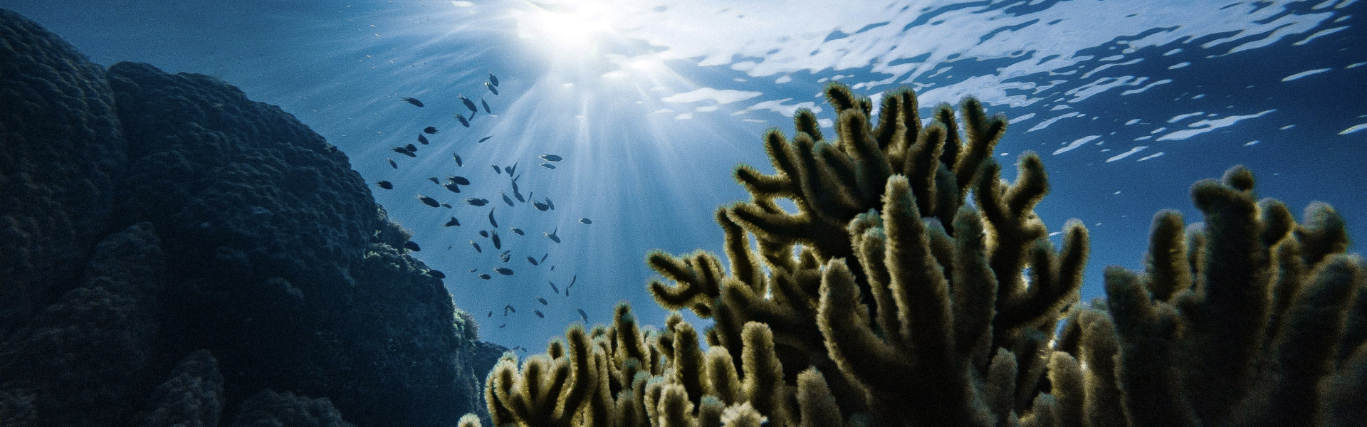 Sustainable Swimwear-Best Way to Protect Our Ocean