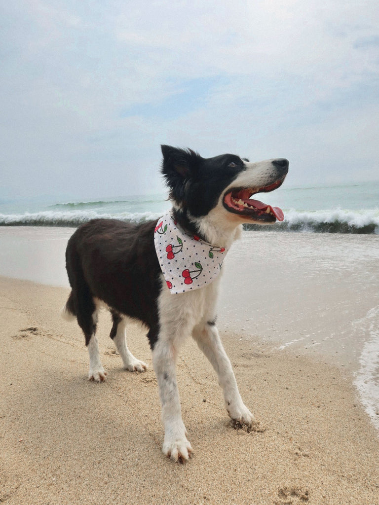 Pet Cherry Print Triangle Scarf Sustainable Beach Accessories - BERLOOK