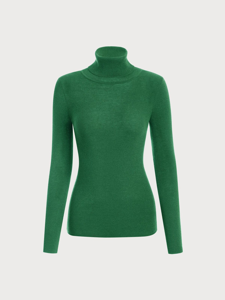 BERLOOK - Sustainable Sweaters & Knits _ Green / One Size Turtleneck Long Sleeve Knit Top